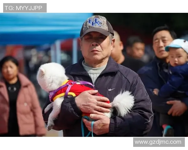 足球明星与爱犬共踢足球的趣味视频展现温馨时刻与运动魅力 足球明星与爱犬共踢足球的趣味视频展现温馨时刻与运动魅力