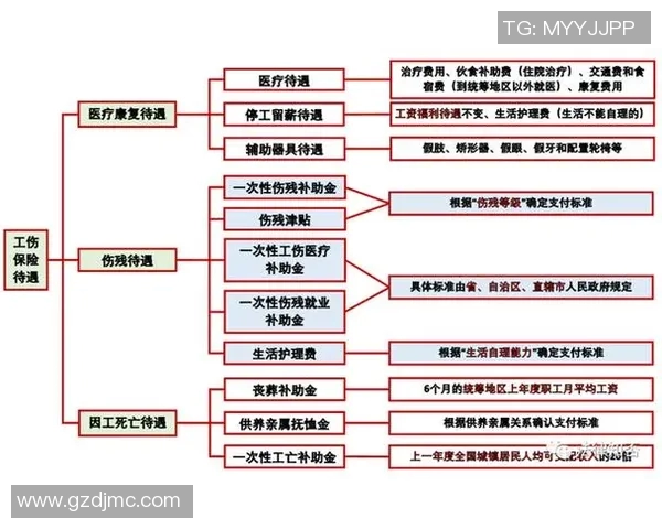 南京羽毛球队个人能力提升之路探讨与分析