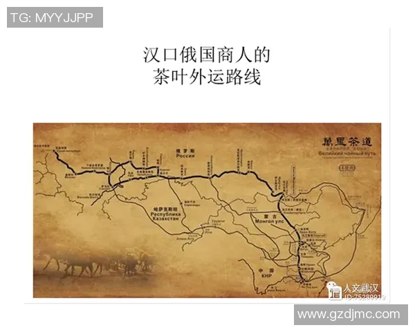 南京足球队中路突破分析:战术执行与效果评估的深度探讨 南京足球队中路突破分析:战术执行与效果评估的深度探讨