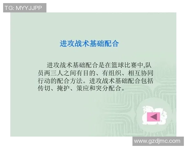 广州篮球队控制打法深度分析与战术解读探讨