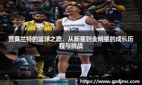 爱游戏ayx官方网站