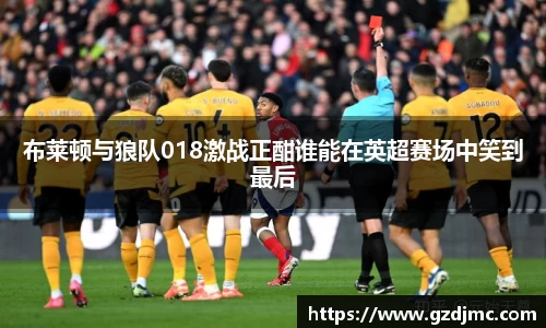 布莱顿与狼队018激战正酣谁能在英超赛场中笑到最后