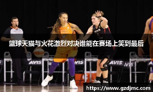 篮球天猫与火花激烈对决谁能在赛场上笑到最后